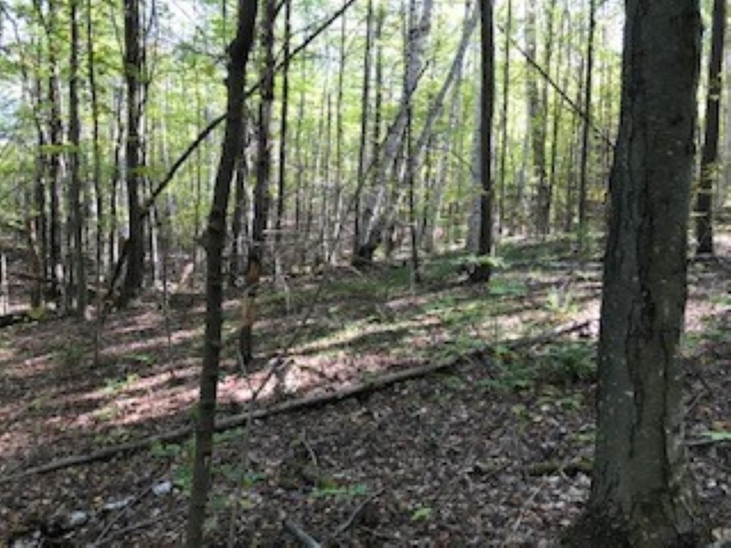 Huff Pond Road Sudbury, VT 05733 - Photo 23 of 39