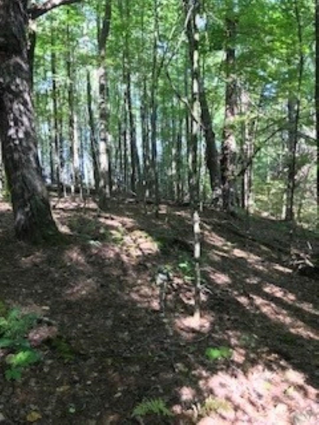 Huff Pond Road Sudbury, VT 05733 - Photo 26 of 39