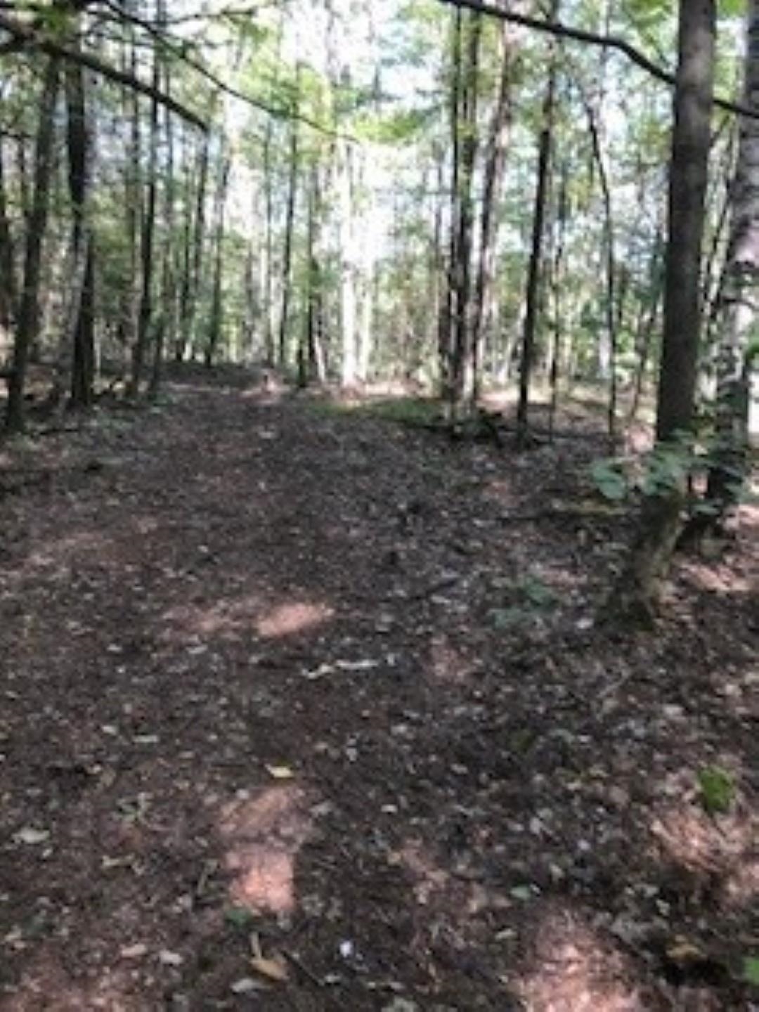 Huff Pond Road Sudbury, VT 05733 - Photo 27 of 39