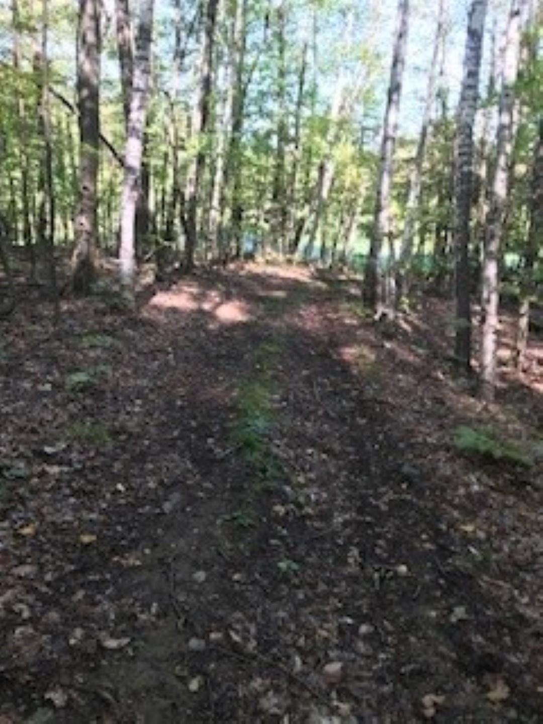 Huff Pond Road Sudbury, VT 05733 - Photo 28 of 39