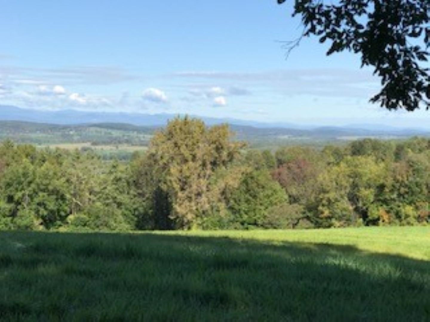 Huff Pond Road Sudbury, VT 05733 - Photo 5 of 39
