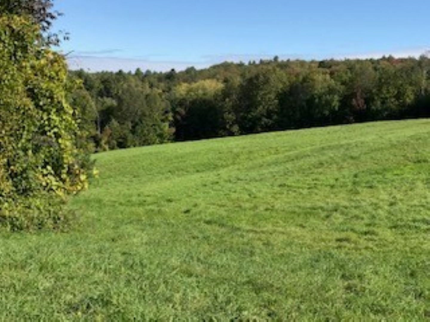 Huff Pond Road Sudbury, VT 05733 - Photo 6 of 39