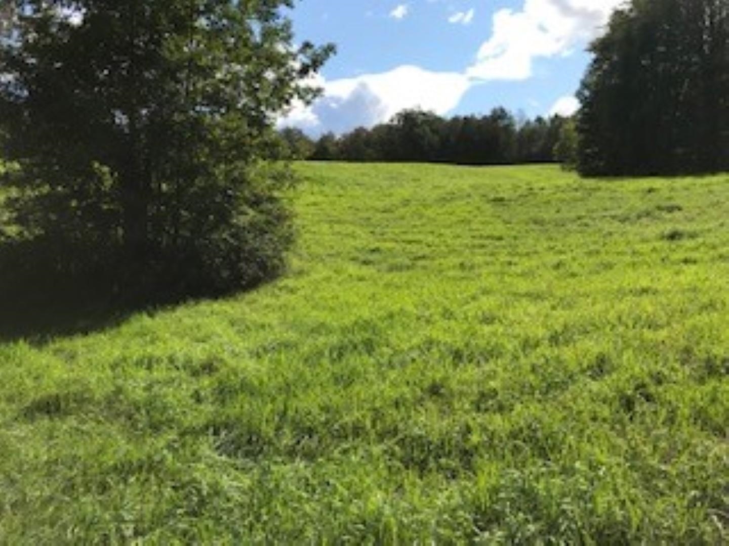 Huff Pond Road Sudbury, VT 05733 - Photo 10 of 39