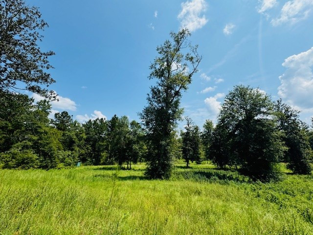 Tbd Muddy Springs Road Magnolia, MS 39652 - Photo 11 of 56 Photo 11
