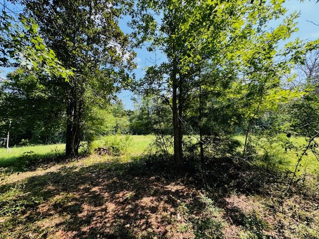 Tbd Muddy Springs Road Magnolia, MS 39652 - Photo 12 of 56 Photo 12