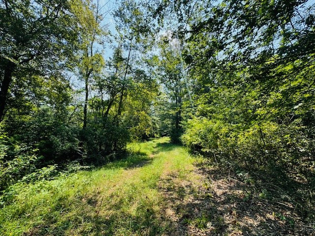 Tbd Muddy Springs Road Magnolia, MS 39652 - Photo 13 of 56 Photo 13