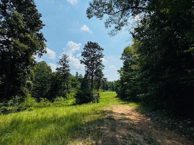Tbd Muddy Springs Road Magnolia, MS 39652 - Photo 15 of 56 Photo 15