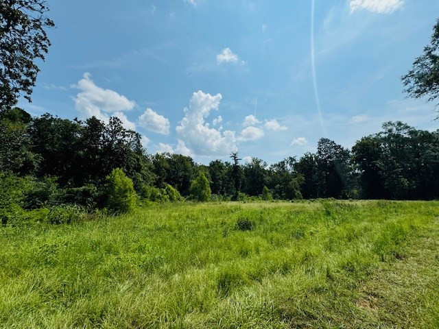 Tbd Muddy Springs Road Magnolia, MS 39652 - Photo 16 of 56 Photo 16
