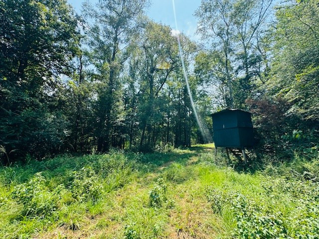 Tbd Muddy Springs Road Magnolia, MS 39652 - Photo 17 of 56 Photo 17