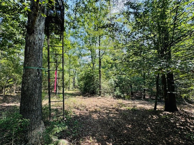 Tbd Muddy Springs Road Magnolia, MS 39652 - Photo 20 of 56 Photo 20