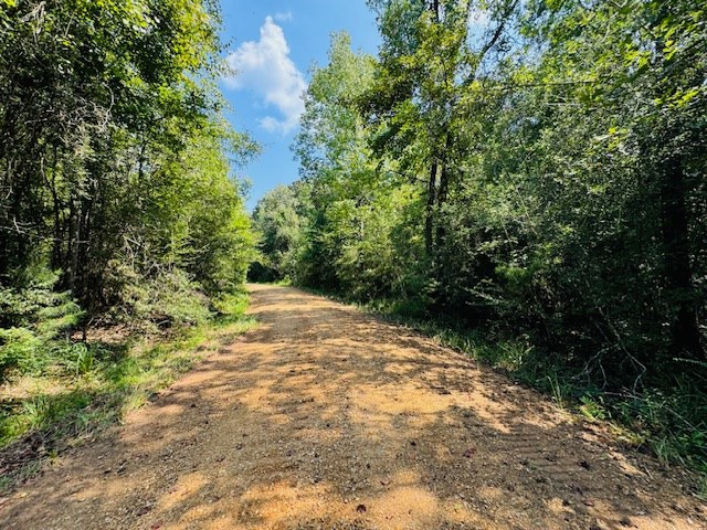 Tbd Muddy Springs Road Magnolia, MS 39652 - Photo 21 of 56 Photo 21