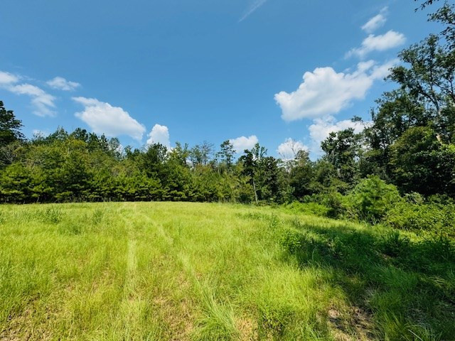 Tbd Muddy Springs Road Magnolia, MS 39652 - Photo 22 of 56 Photo 22
