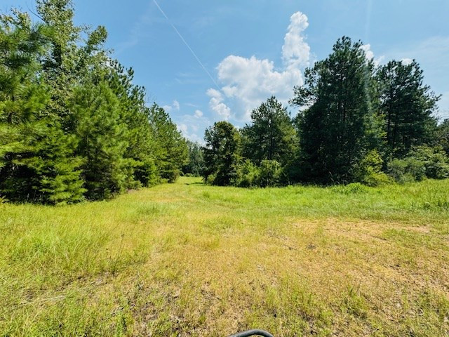 Tbd Muddy Springs Road Magnolia, MS 39652 - Photo 23 of 56 Photo 23