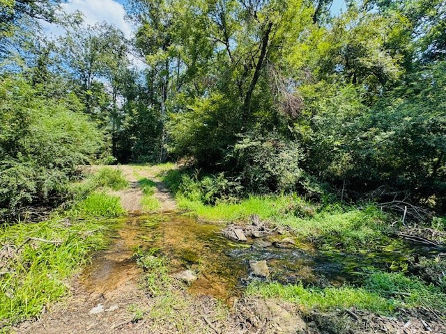 Tbd Muddy Springs Road Magnolia, MS 39652 - Photo 24 of 56 Photo 24