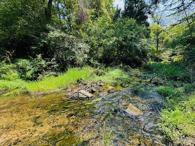Tbd Muddy Springs Road Magnolia, MS 39652 - Photo 25 of 56 Photo 25