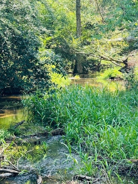 Tbd Muddy Springs Road Magnolia, MS 39652 - Photo 26 of 56 Photo 26