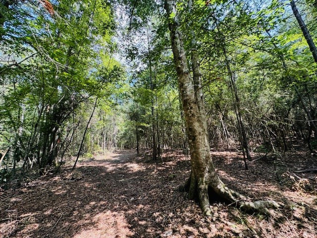 Tbd Muddy Springs Road Magnolia, MS 39652 - Photo 28 of 56 Photo 28