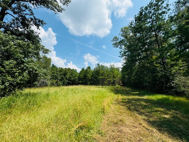 Tbd Muddy Springs Road Magnolia, MS 39652 - Photo 29 of 56 Photo 29