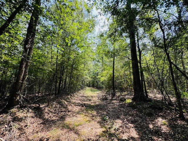 Tbd Muddy Springs Road Magnolia, MS 39652 - Photo 30 of 56 Photo 30