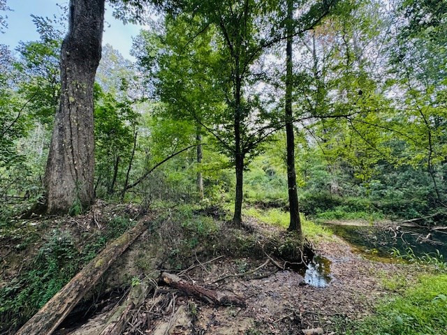Tbd Muddy Springs Road Magnolia, MS 39652 - Photo 38 of 56 Photo 38