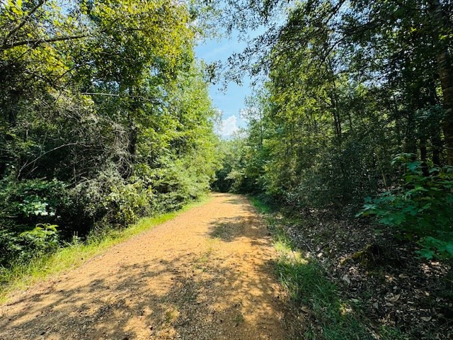 Tbd Muddy Springs Road Magnolia, MS 39652 - Photo 4 of 56 Photo 4