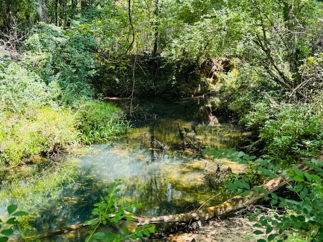 Tbd Muddy Springs Road Magnolia, MS 39652 - Photo 42 of 56 Photo 42