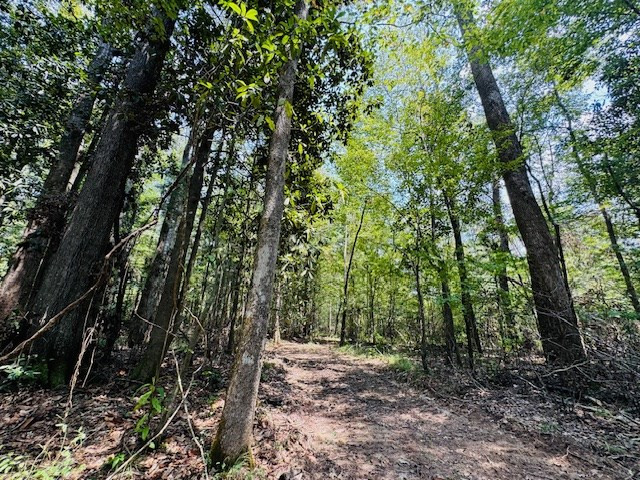 Tbd Muddy Springs Road Magnolia, MS 39652 - Photo 44 of 56 Photo 44
