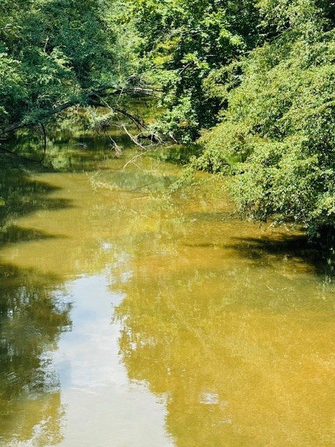 Tbd Muddy Springs Road Magnolia, MS 39652 - Photo 47 of 56 Photo 47
