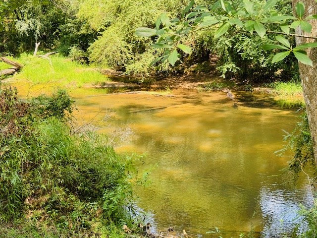 Tbd Muddy Springs Road Magnolia, MS 39652 - Photo 48 of 56 Photo 48