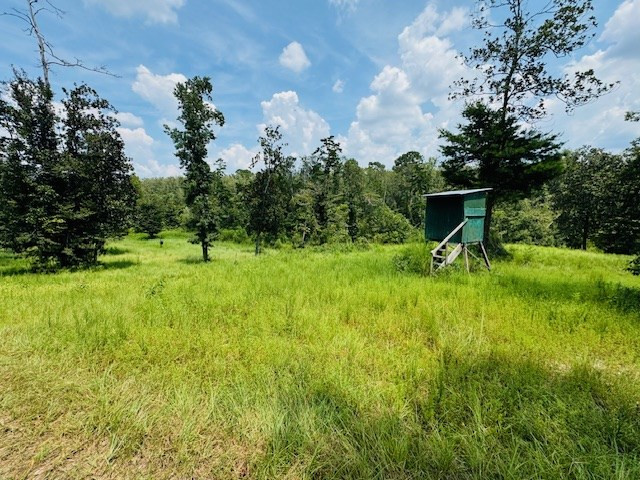 Tbd Muddy Springs Road Magnolia, MS 39652 - Photo 49 of 56 Photo 49