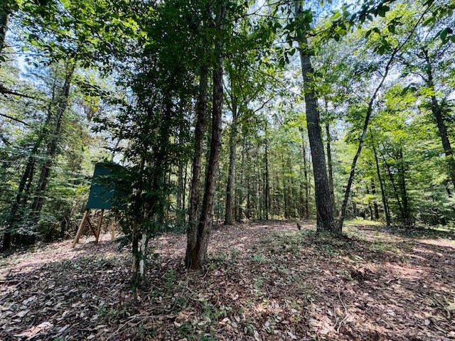 Tbd Muddy Springs Road Magnolia, MS 39652 - Photo 50 of 56 Photo 50