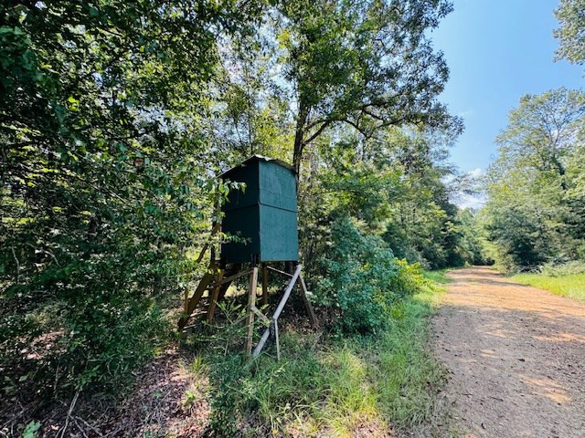 Tbd Muddy Springs Road Magnolia, MS 39652 - Photo 5 of 56 Photo 5
