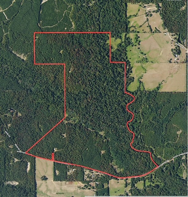 Tbd Muddy Springs Road Magnolia, MS 39652 - Photo 54 of 56 Photo 54