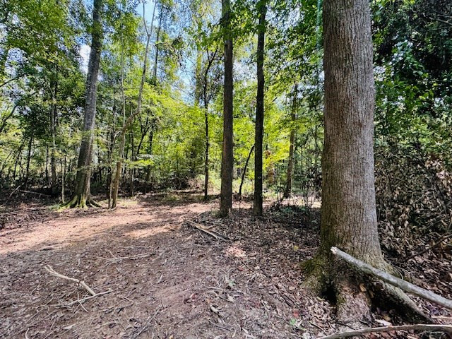 Tbd Muddy Springs Road Magnolia, MS 39652 - Photo 6 of 56 Photo 6