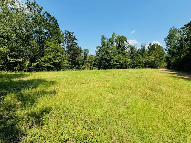 Tbd Muddy Springs Road Magnolia, MS 39652 - Photo 7 of 56 Photo 7