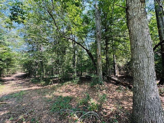 Tbd Muddy Springs Road Magnolia, MS 39652 - Photo 9 of 56 Photo 9