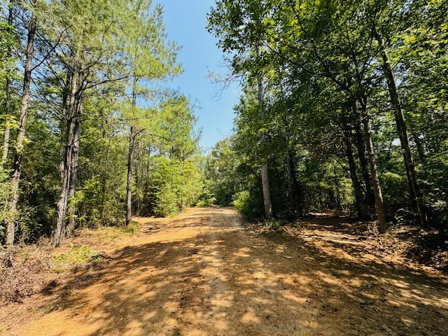 Tbd Muddy Springs Road Magnolia, MS 39652 - Photo 10 of 56 Photo 10