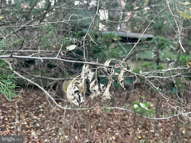 $1,000,000 | Mitchell Ford Road, Lignum, VA 22726