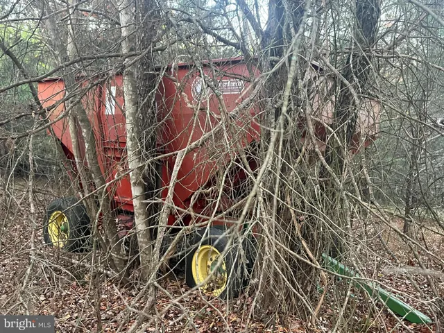 $1,000,000 | Mitchell Ford Road, Lignum, VA 22726