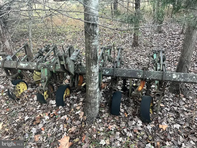 $1,000,000 | Mitchell Ford Road, Lignum, VA 22726