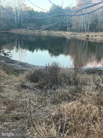 $1,000,000 | Mitchell Ford Road, Lignum, VA 22726