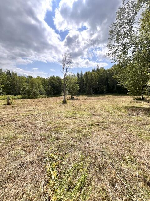 Lot 3 Off New Limerick Road Houlton, ME 04730 - Photo 5 of 30 IMG_2083