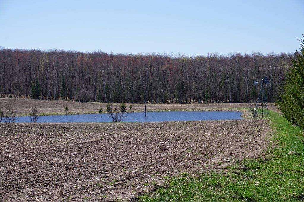 60-acres Meier Road Ogema, WI 54459 - Photo 1 of 18 Gallery Image 1