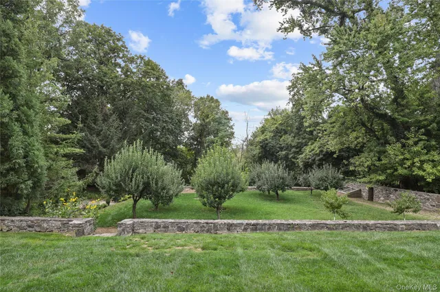 a view of yard with grass and trees