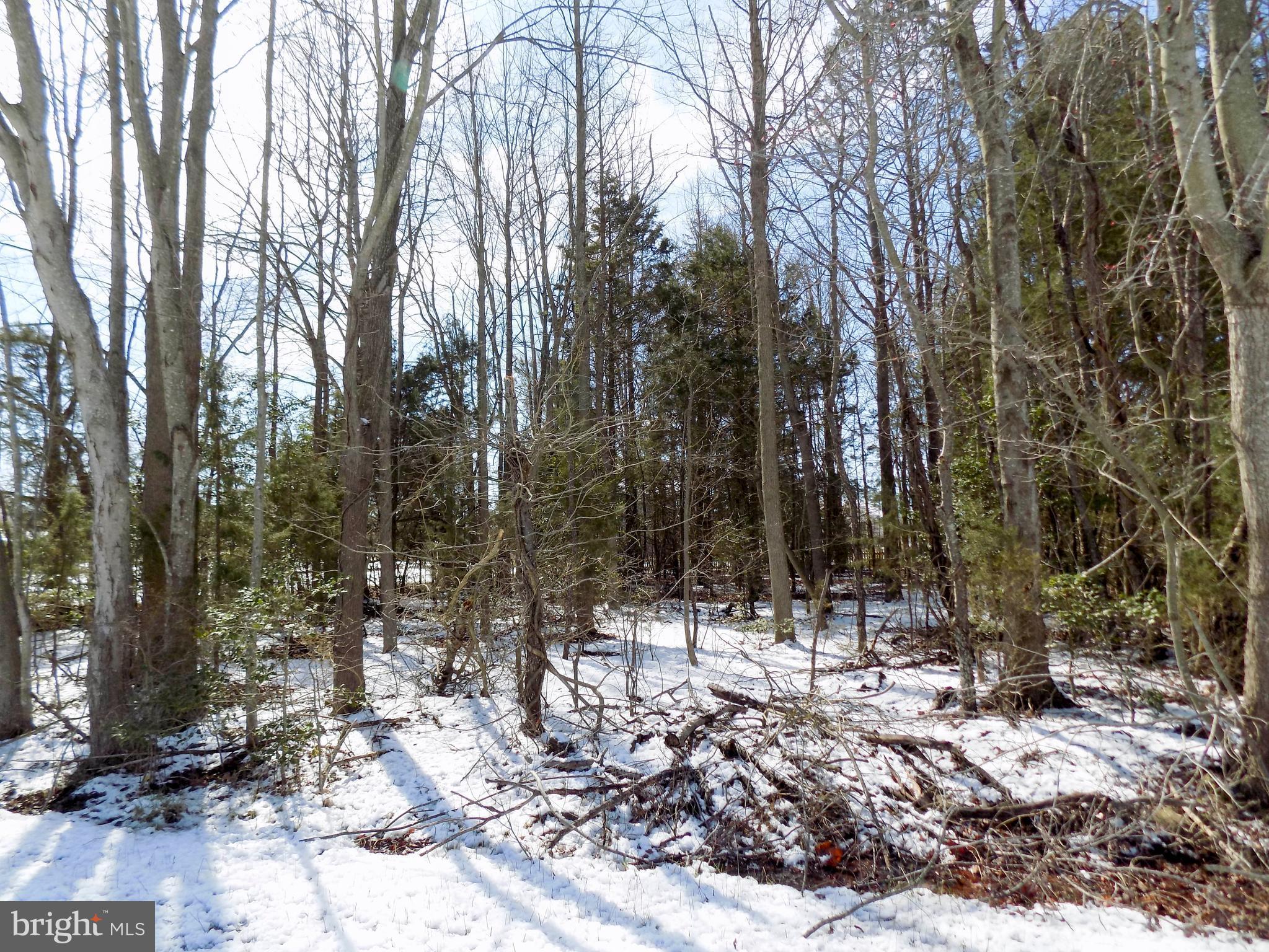 0 Johnson Road Colonial Beach, VA 22443 - Photo 7 of 13 1/4 Acre Lot
