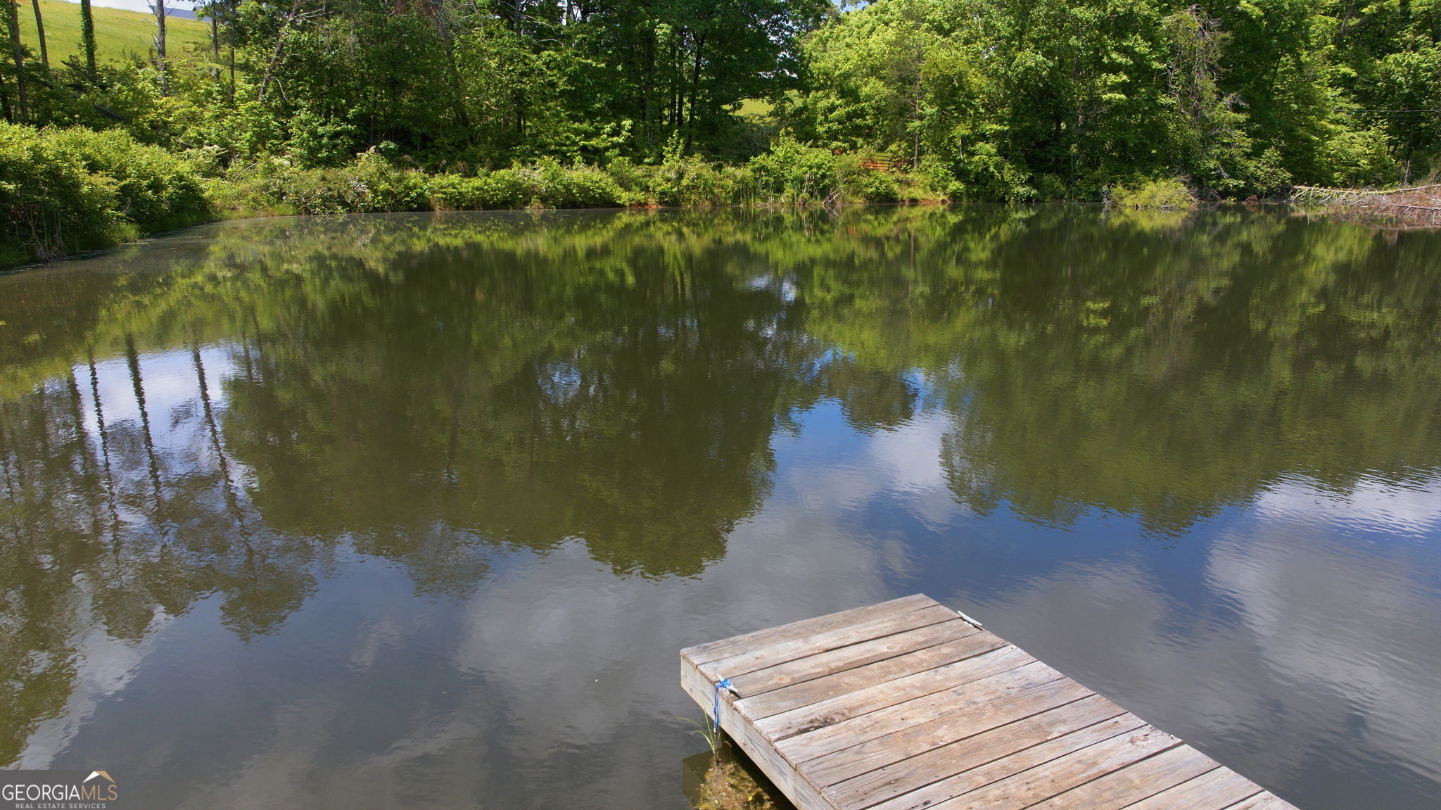 5134 Highway 17 Clarkesville, GA 30523 - Photo 69 of 96 Grab a pole and come on down to the pond