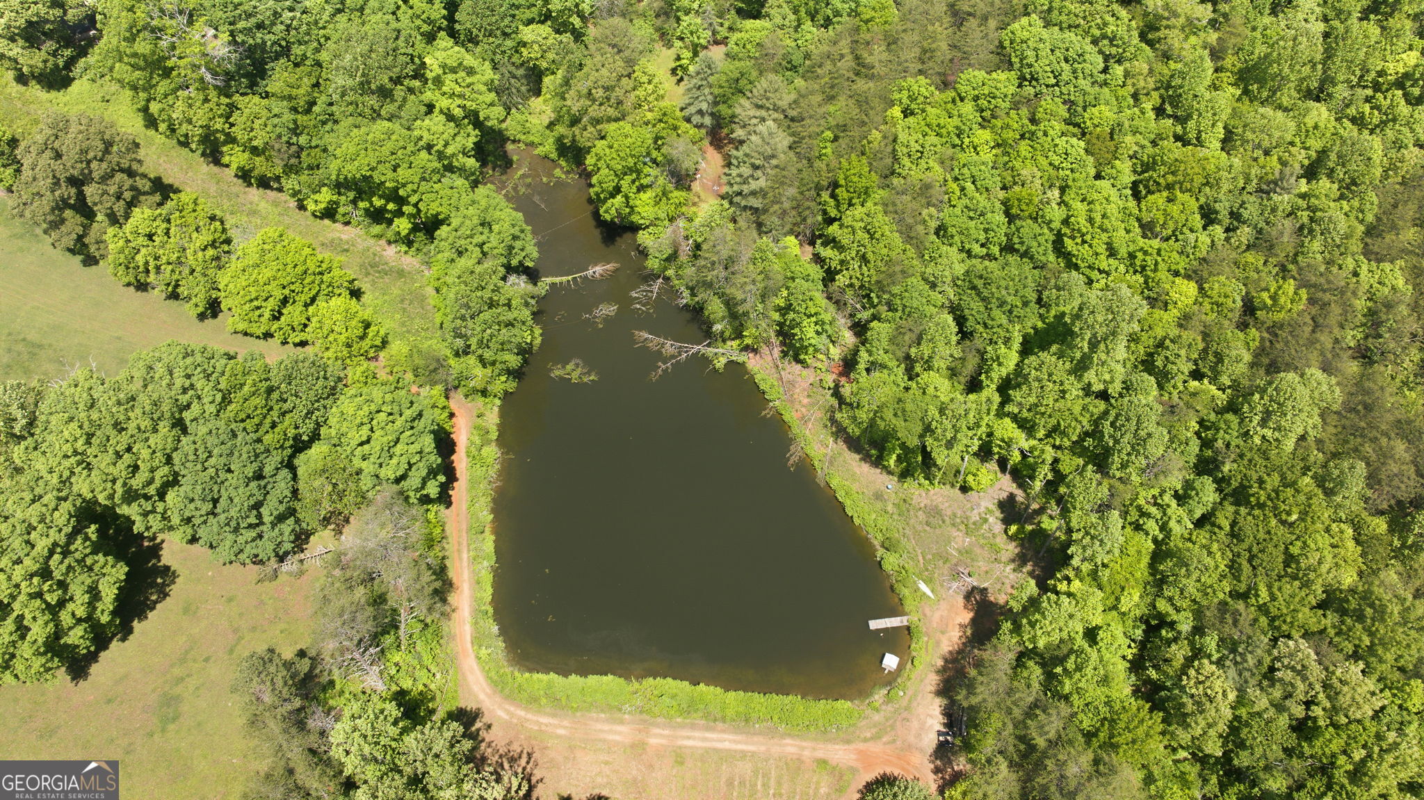 5134 Highway 17 Clarkesville, GA 30523 - Photo 70 of 96 Aerial view of pond