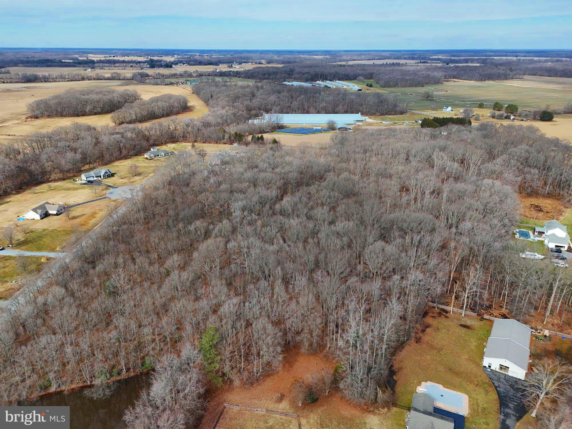 913 Clark Corner Road Centreville, MD 21617 - Photo 63 of 64 Aerial Drone