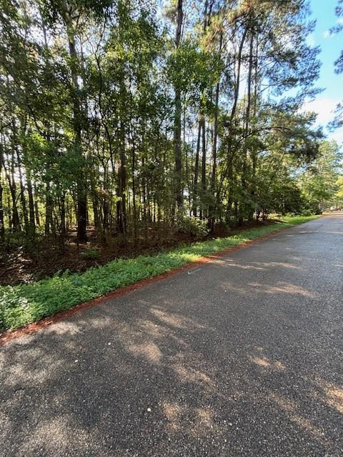 0 Kingbird Street Covington, LA 70435 - Photo 3 of 4