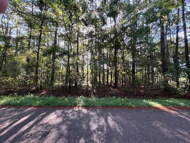 0 Kingbird Street Covington, LA 70435 - Photo 4 of 4